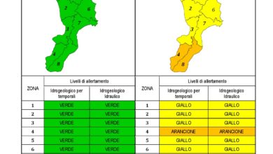 Criticità idrogeologica-idraulica e temporali in Calabria 27-11-2020