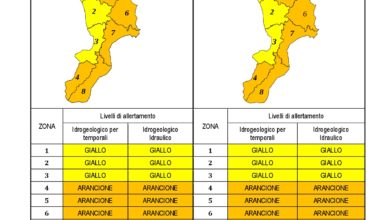 Criticità idrogeologica-idraulica e temporali in Calabria 28-11-2020