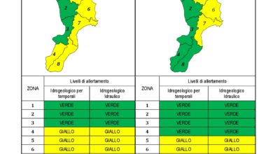 Criticità idrogeologica-idraulica e temporali in Calabria 29-11-2020