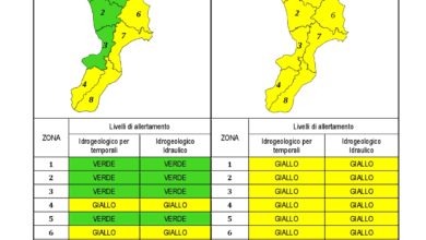 Criticità idrogeologica-idraulica e temporali in Calabria 02-12-2020