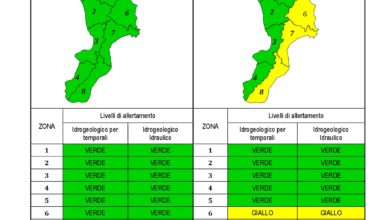 Criticità idrogeologica-idraulica e temporali in Calabria 04-12-2020