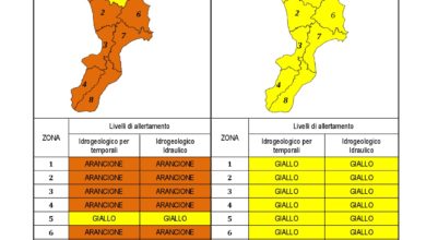 Criticità idrogeologica-idraulica e temporali in Calabria 06-12-2020