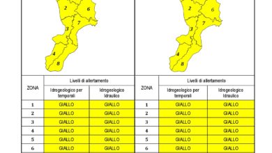 Criticità idrogeologica-idraulica e temporali in Calabria 07-12-2020