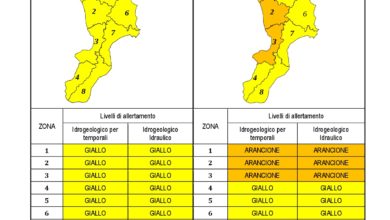 Criticità idrogeologica-idraulica e temporali in Calabria 08-12-2020