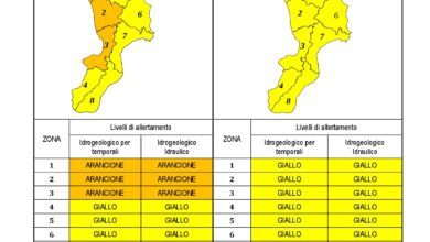 Criticità idrogeologica-idraulica e temporali in Calabria 09-12-2020