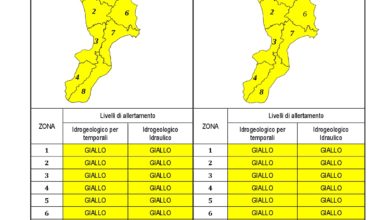 Criticità idrogeologica-idraulica e temporali in Calabria 10-12-2020