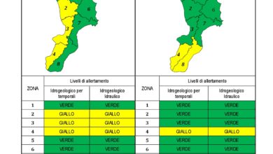 Criticità idrogeologica-idraulica e temporali in Calabria 12-12-2020