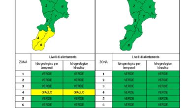 Criticità idrogeologica-idraulica e temporali in Calabria 13-12-2020