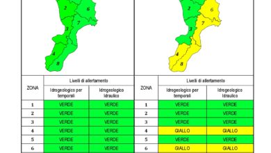 Criticità idrogeologica-idraulica e temporali in Calabria 19-12-2020