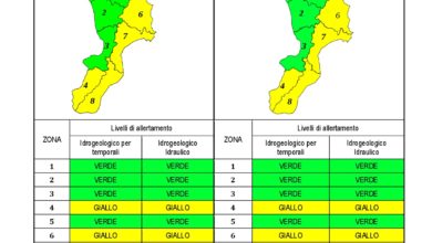 Criticità idrogeologica-idraulica e temporali in Calabria 20-12-2020