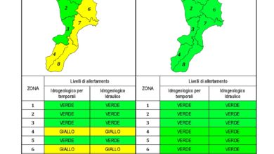 Criticità idrogeologica-idraulica e temporali in Calabria 21-12-2020