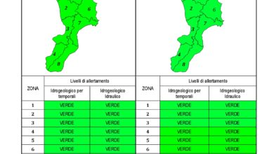 Criticità idrogeologica-idraulica e temporali in Calabria 22-12-2020