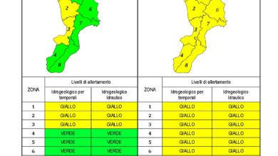 Criticità idrogeologica-idraulica e temporali in Calabria 25-12-2020