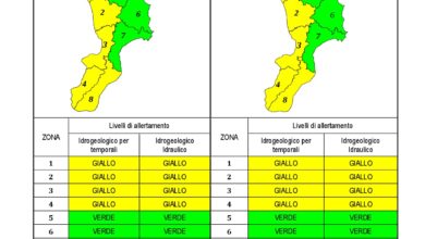 Criticità idrogeologica-idraulica e temporali in Calabria 26-12-2020