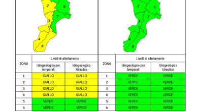 Criticità idrogeologica-idraulica e temporali in Calabria 27-12-2020