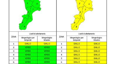 Criticità idrogeologica-idraulica e temporali in Calabria 29-12-2020