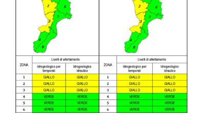 Criticità idrogeologica-idraulica e temporali in Calabria 30-12-2020