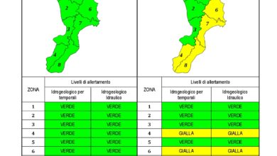 Criticità idrogeologica-idraulica e temporali in Calabria 01-01-2021