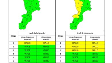 Criticità idrogeologica-idraulica e temporali in Calabria 03-01-2021