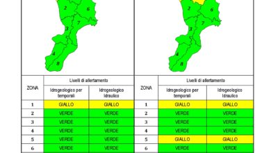 Criticità idrogeologica-idraulica e temporali in Calabria 09-01-2021