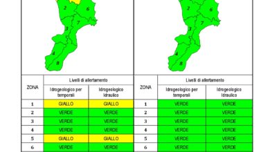 Criticità idrogeologica-idraulica e temporali in Calabria 10-01-2021