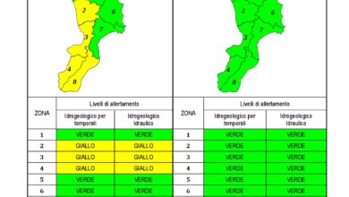 Criticità idrogeologica-idraulica e temporali in Calabria 12-01-2021