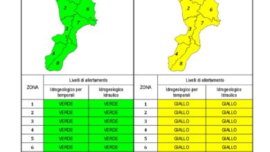 Criticità idrogeologica-idraulica e temporali in Calabria 14-01-2021