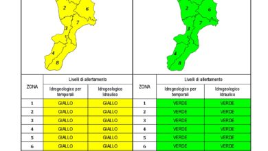 Criticità idrogeologica-idraulica e temporali in Calabria 15-01-2021