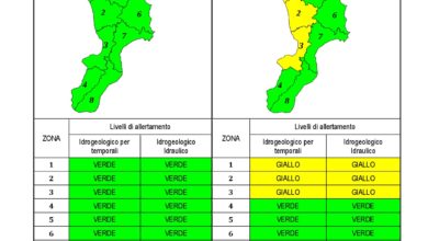 Criticità idrogeologica-idraulica e temporali in Calabria 22-01-2021