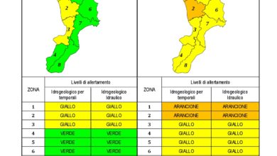 Criticità idrogeologica-idraulica e temporali in Calabria 23-01-2021