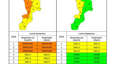 Criticità idrogeologica-idraulica e temporali in Calabria 24-01-2021