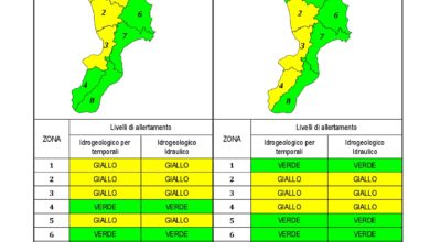 Criticità idrogeologica-idraulica e temporali in Calabria 25-01-2021