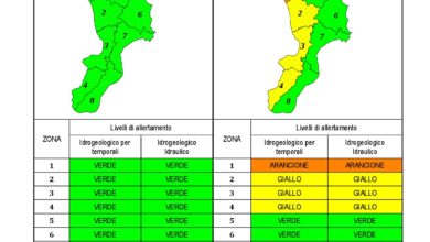 Criticità idrogeologica-idraulica e temporali in Calabria 30-01-2021