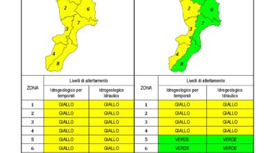 Criticità idrogeologica-idraulica e temporali in Calabria 01-02-2021