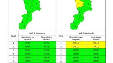 Criticità idrogeologica-idraulica e temporali in Calabria 06-02-2021