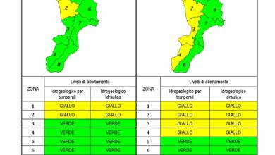 Criticità idrogeologica-idraulica e temporali in Calabria 07-02-2021