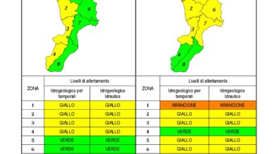 Criticità idrogeologica-idraulica e temporali in Calabria 08-02-2021