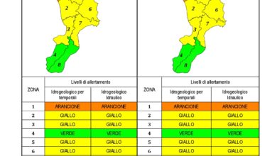 Criticità idrogeologica-idraulica e temporali in Calabria 10-02-2021