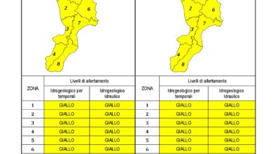 Criticità idrogeologica-idraulica e temporali in Calabria 13-02-2021