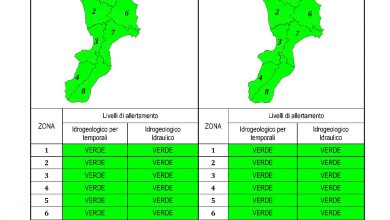 Criticità idrogeologica-idraulica e temporali in Calabria 04-03-2021