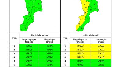 Criticità idrogeologica-idraulica e temporali in Calabria 09-03-2021