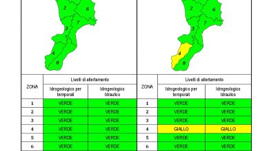 Criticità idrogeologica-idraulica e temporali in Calabria 15-03-2021