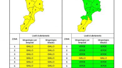 Criticità idrogeologica-idraulica e temporali in Calabria 21-03-2021