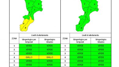 Criticità idrogeologica-idraulica e temporali in Calabria 23-03-2021