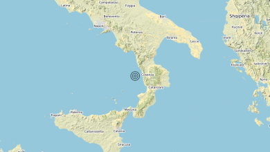 Terremoto 08-03-2021