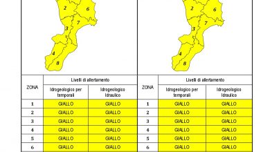 Criticità idrogeologica-idraulica e temporali in Calabria 18-04-2021