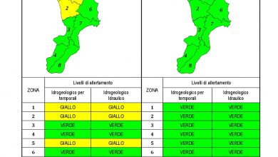 Criticità idrogeologica-idraulica e temporali in Calabria 24-04-2021