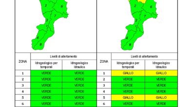 Criticità idrogeologica-idraulica e temporali in Calabria 07-06-2021