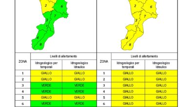 Criticità idrogeologica-idraulica e temporali in Calabria 08-06-2021