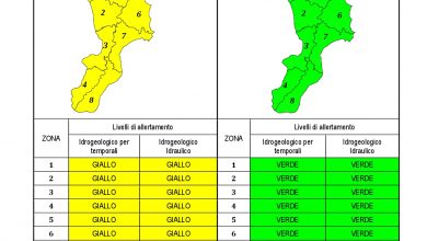 Criticità idrogeologica-idraulica e temporali in Calabria 12-06-2021